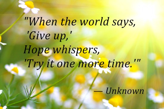 Comeback | The Compassionate Gardener
